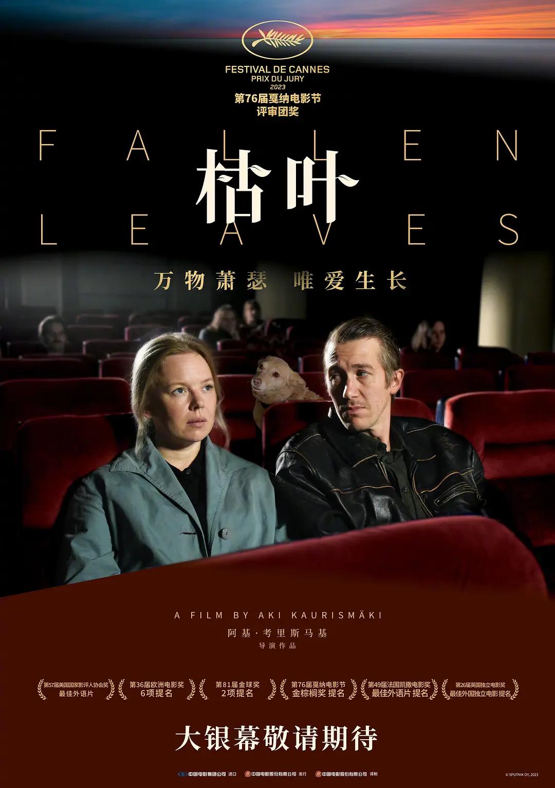 美女视频福利(💻)