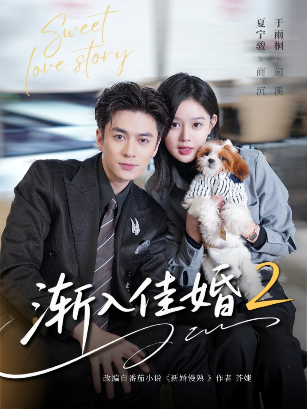 渐入佳婚2