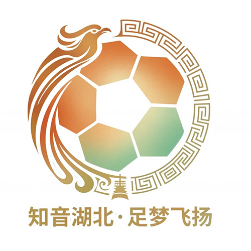 湖北省城市足球联赛 宜昌东阳光vs武汉华工科技20260425