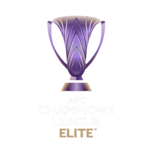 亚冠精英赛 迪拜祈祷vs利雅得新月20250219