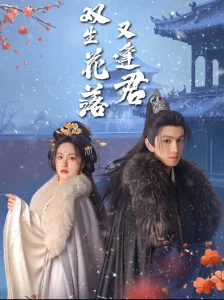 双生花落又逢君