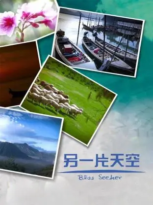 《另一片天空》全集高清完整版在线观看与剧情解析