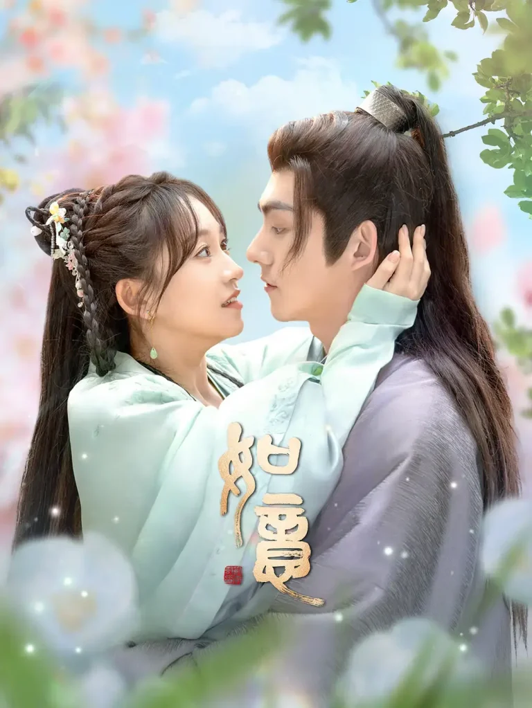 《如意2024》全集高清完整版在线观看与剧情解析