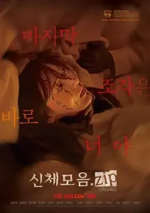 身体集合.zip[电影解说]